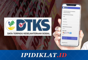 Data Terpadu Kesejahteraan Sosial