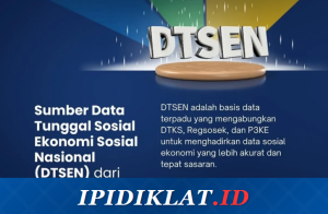 Sistem DTSEN Bansos 2025