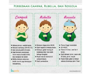 Campak vs Rubella: Panduan Lengkap Perbedaan 2026!