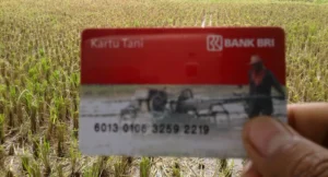 Cek Saldo KKS 2026: Panduan Lengkap, Bank Apa yang Cair Duluan?