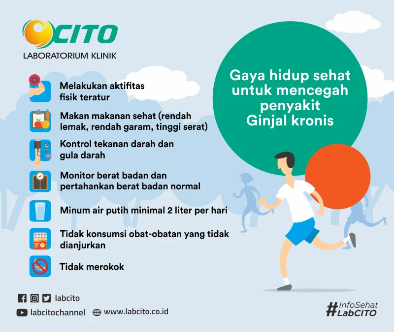 Gaya Hidup Picu Penyakit Ginjal? Cek Fakta Terbaru 2026!