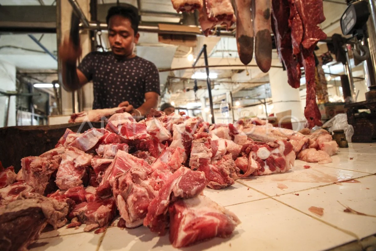 Impor Sapi Brasil - Solusi Defisit Daging 2026?