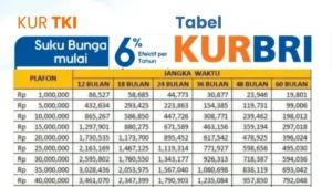 KUR TKI BRI 2026: Syarat, Tabel Angsuran, dan Cara Pengajuan