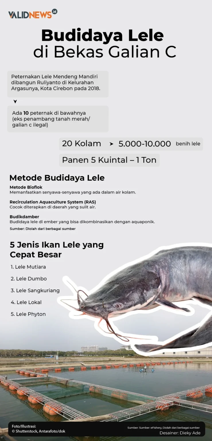 Lele Atasi Sampah? Jakarta Barat Galakkan Budidaya!