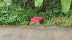 Mayat di Freezer: Kronologi Penemuan Jasad Pegawai Ayam Geprek