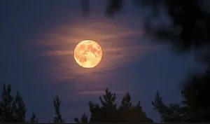 Pink Moon 2026: Catat Tanggal dan Waktu Terbaik Menyaksikannya!