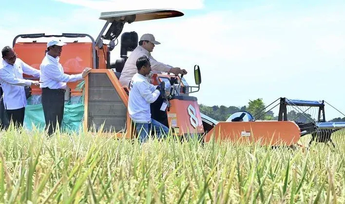 Stok Beras Tinggi: Indonesia Cetak Rekor Baru!
