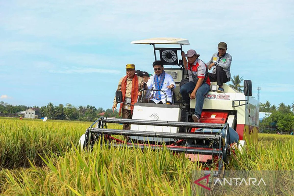 Surplus Beras 2026: RI Optimis Hadapi El Nino, Produksi Aman!