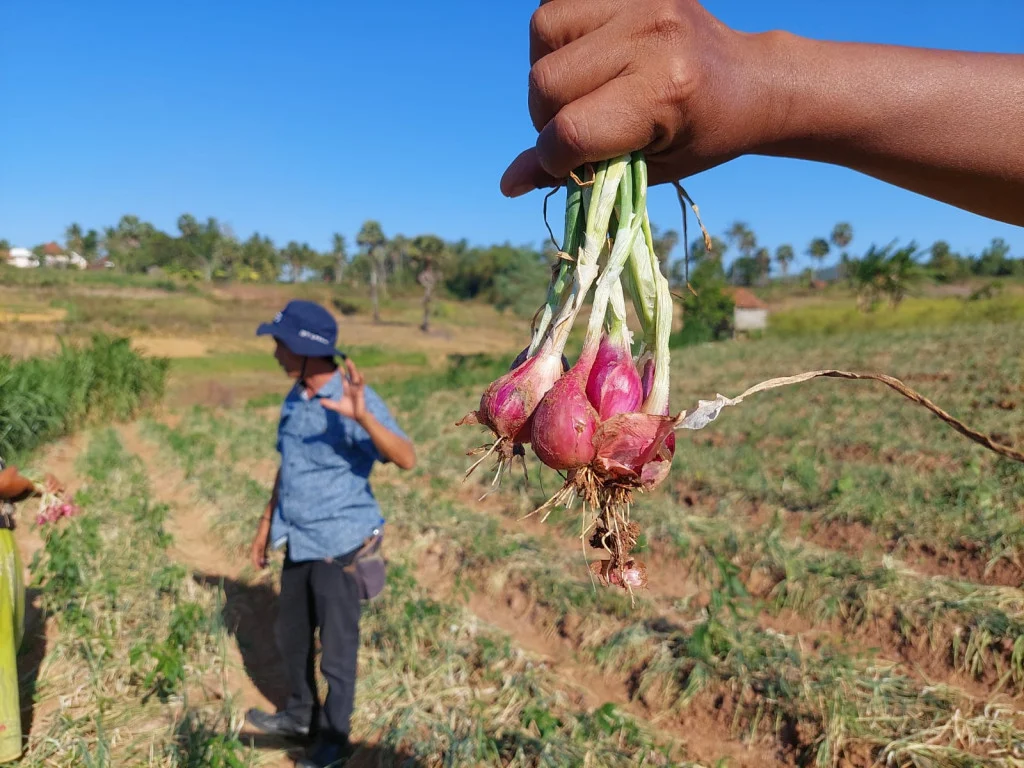 AI Pertanian: Cara Terbaru Tingkatkan Panen Petani 2026