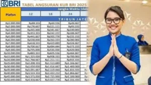 Angsuran KUR BRI Plafon 50 Juta Terbaru 2026