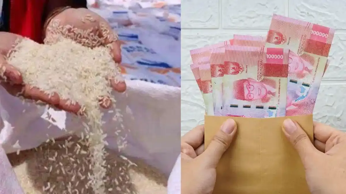 Cara Daftar Bansos 2026 Pakai KTP: Panduan Lengkap dan Terbaru