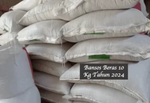 Cek Bansos Beras 10 Kg 2026: Syarat dan Panduan Lengkap