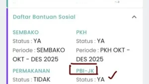 Cek Desil DTSEN 2026: Panduan Lengkap Status Bansos
