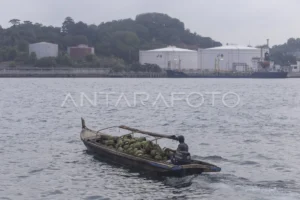 Distribusi LPG, STS Kalbut Andalan Pertamina di 2026