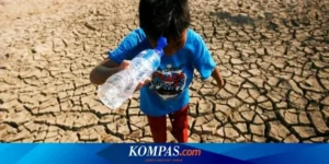 El Nino Godzilla Ancam Indonesia, Kemarau Panjang Dimulai!