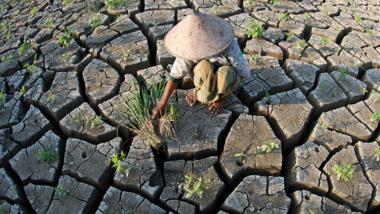 El Nino Godzilla: Jakarta Waspada Dampak Kemarau Panjang di 2026