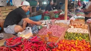 Harga Beras di Batam Melonjak 15 Persen: Warga Keluhkan Beban Hidup