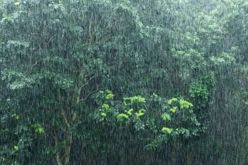 Hujan Lebat 2026: Waspada! Ini Penyebabnya!