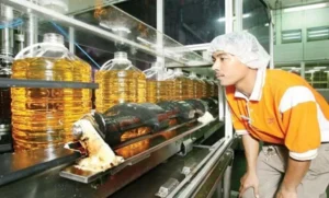 ISPO Hilir Wajib 2027 - Industri Sawit Siap-Siap!