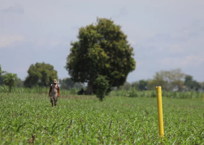 LP2B Kediri Aman? Proyek Tol Picu Penggantian Lahan Produktif