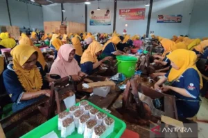 Pengurusan Cukai Diusut KPK, Pengusaha Rokok Jateng Diperiksa!