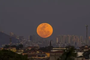 Pink Moon 2026: Jadwal Lengkap dan Fakta Menariknya