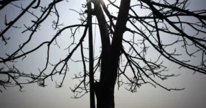 Potensi El Nino 2026: BMKG Sebut Kemungkinan Kuat Sangat Kecil