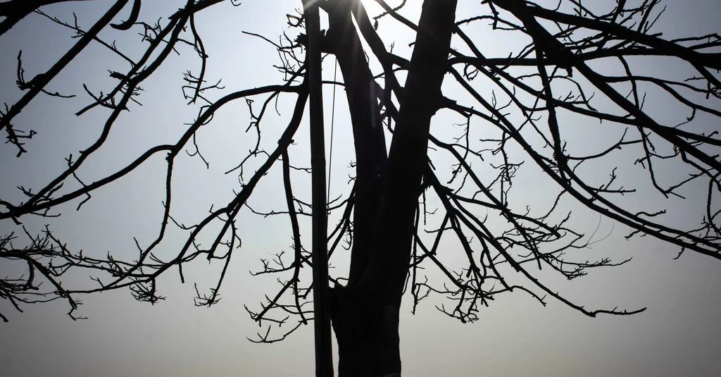 Potensi El Nino 2026: BMKG Sebut Kemungkinan Kuat Sangat Kecil