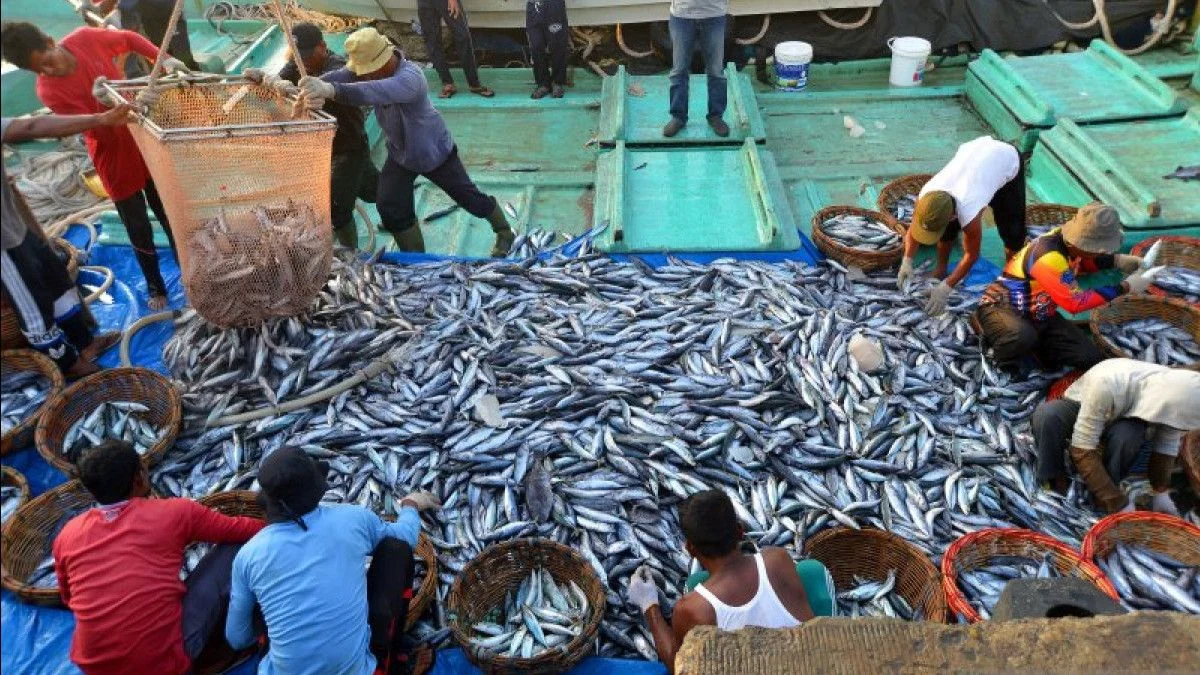 Produksi Ikan Nasional Ditargetkan Capai 10,57 Juta Ton 2026