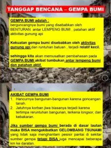 Tanggap Darurat Gempa Flores Timur: 1.659 Warga Mengungsi