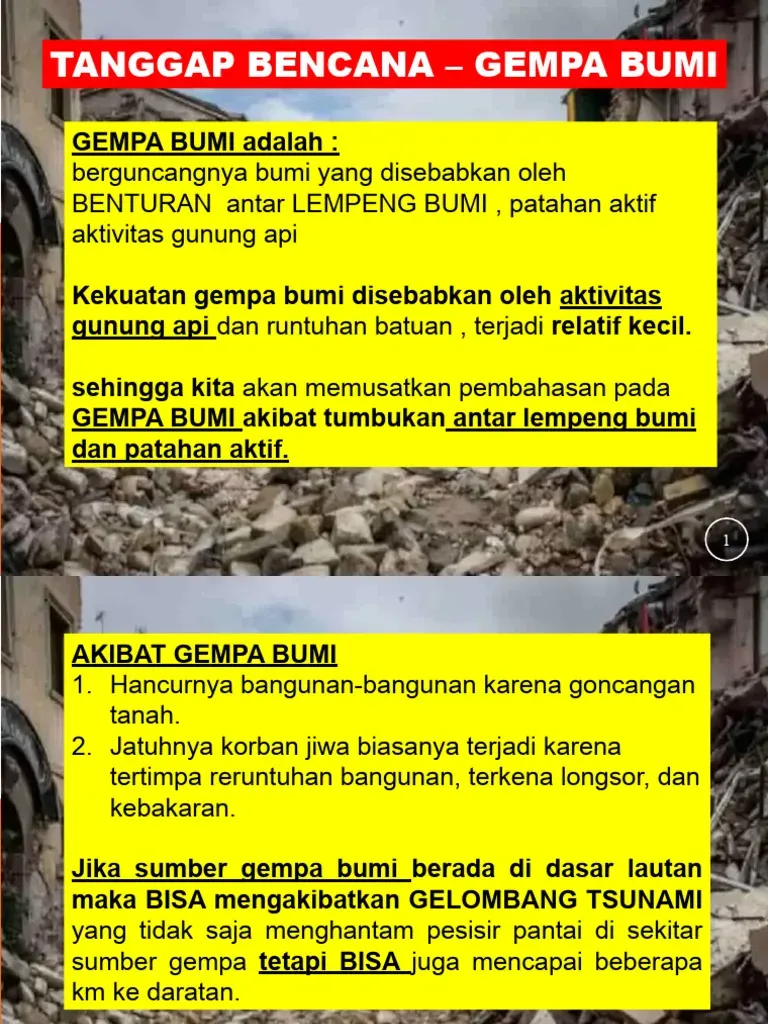 Tanggap Darurat Gempa Flores Timur: 1.659 Warga Mengungsi