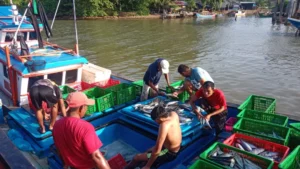 Upwelling 2026: Laut Subur, Rezeki Nelayan di Tengah El Nino