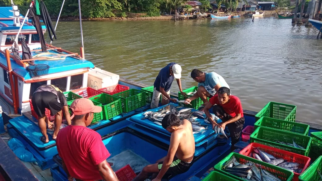 Upwelling 2026: Laut Subur, Rezeki Nelayan di Tengah El Nino